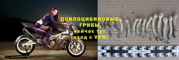 хмурый Богданович