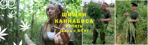 хмурый Богданович