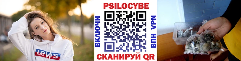 darknet наркотические препараты  Кондрово  Галлюциногенные грибы Psilocybe  hydra как войти 